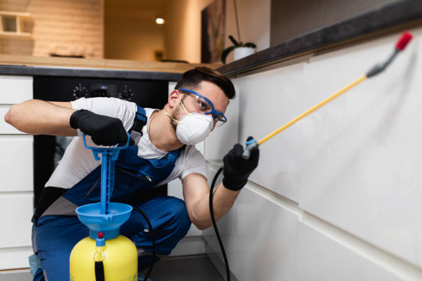 Best Best Pest Control Companies  in Parkwood, CA