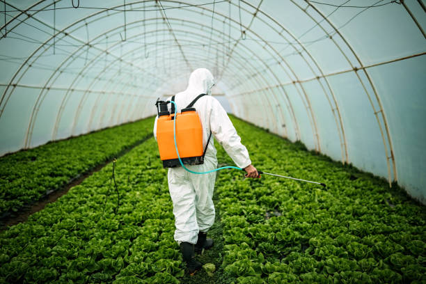 Best Ant Control Services  in Parkwood, CA