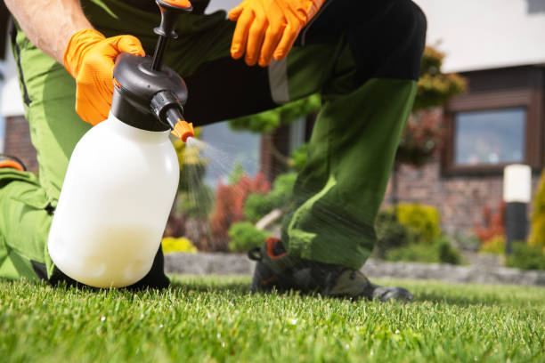 Parkwood, CA Pest Control Pros