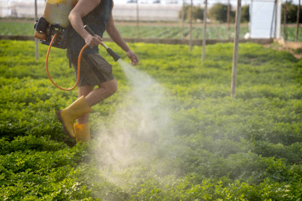 Best Best Pest Control Near Me  in Parkwood, CA