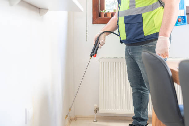 Best Rat Extermination Near Me  in Parkwood, CA