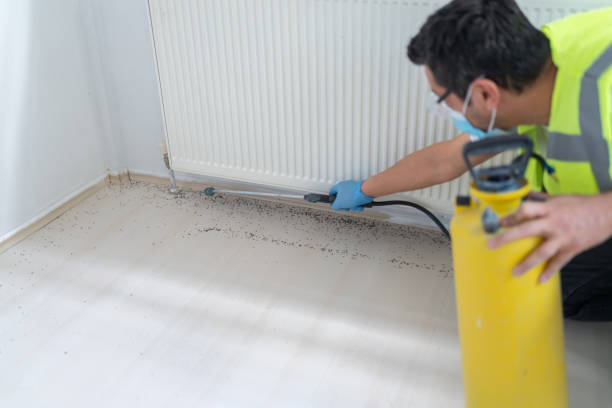 Best Mosquito Control Services  in Parkwood, CA