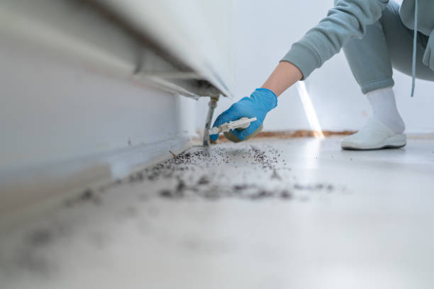 Professional Pest Control in Parkwood, CA